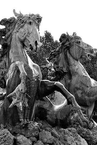 Gironde - Chevaux